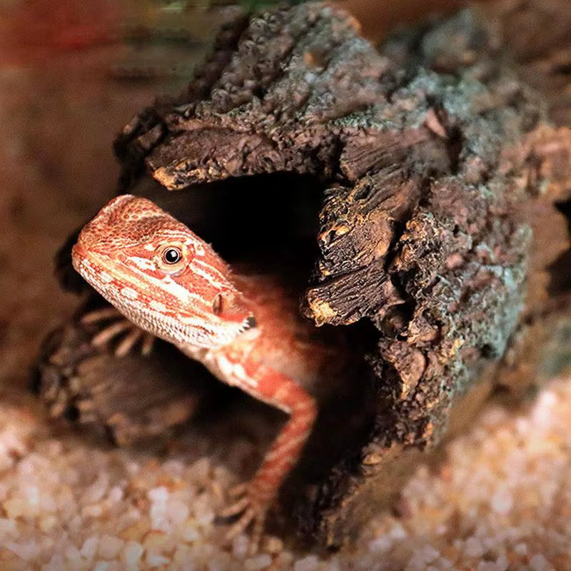 Reptile Hide Large Caves Reptile Hideouts Cave Habitat Shelter Decor for Snakes Turtle Lizards Fish Amphibians Reptile House