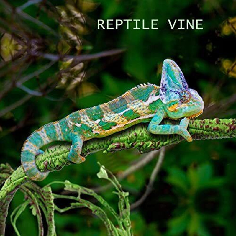 Reptile Vines Plants for Terrarium, Flexible Vines Jungle Climbing Branch