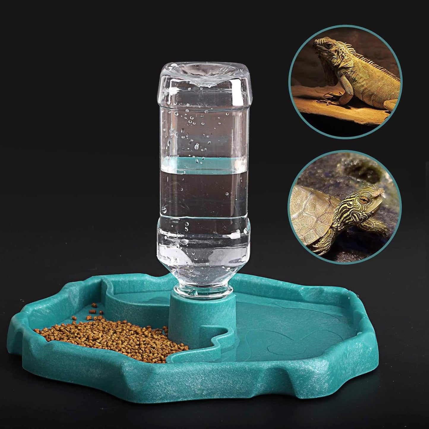 Automatic Reptile Feeder - Food and Water Dish Bowl with Bottle Tortoise Turtle Water Dispenser for Bearded Dragon Gecko Lizard (Blue)