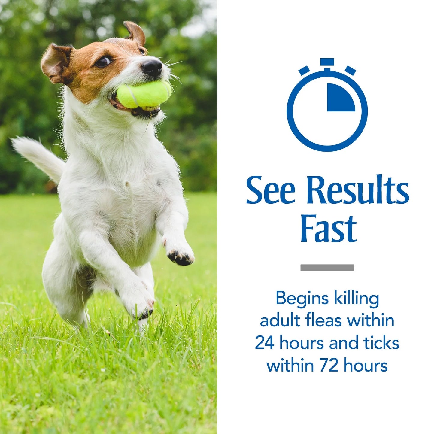 Flea & Tick Treatment for Large Dogs, 45 to 88 Pounds, 3 Monthly Applications