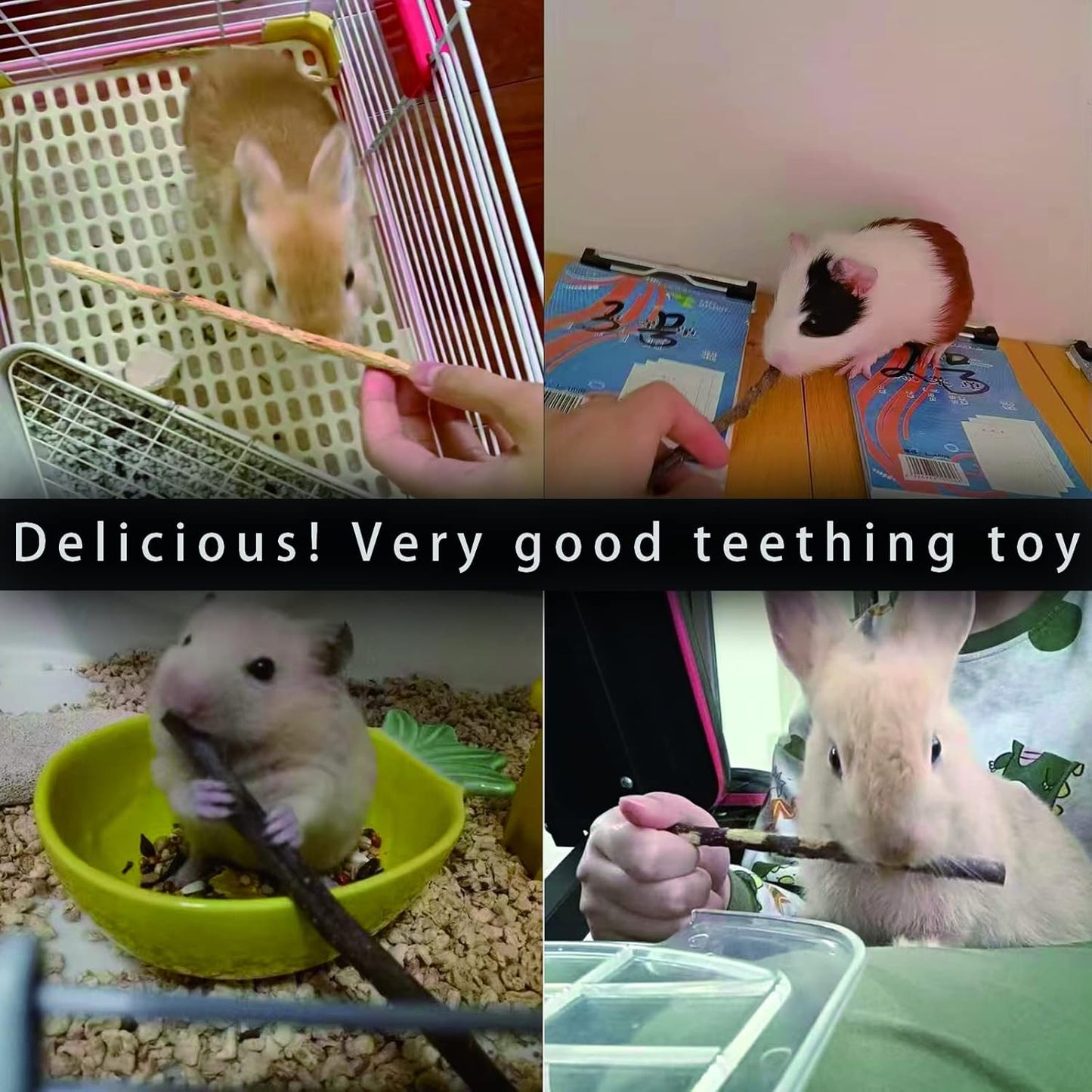 Natural Apple Sticks, 300G Treats Food for Small Animals, Chew Toys for Chinchilla Guinea Pigs Rabbit Squirrel Hamster Bunny