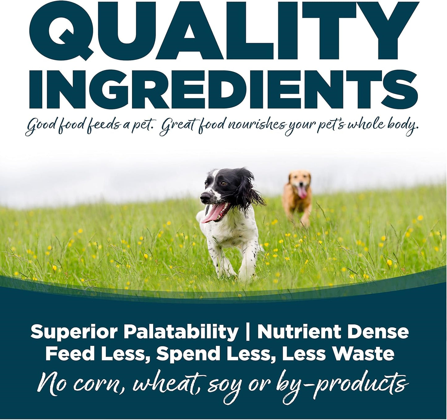 Nutrisource Adult Chicken & Rice Dog Food