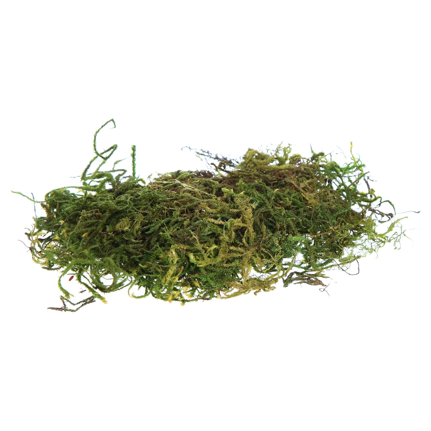 Terrarium Sphagnum Green Moss, 4Qt Stand-Up Pouch Reptile