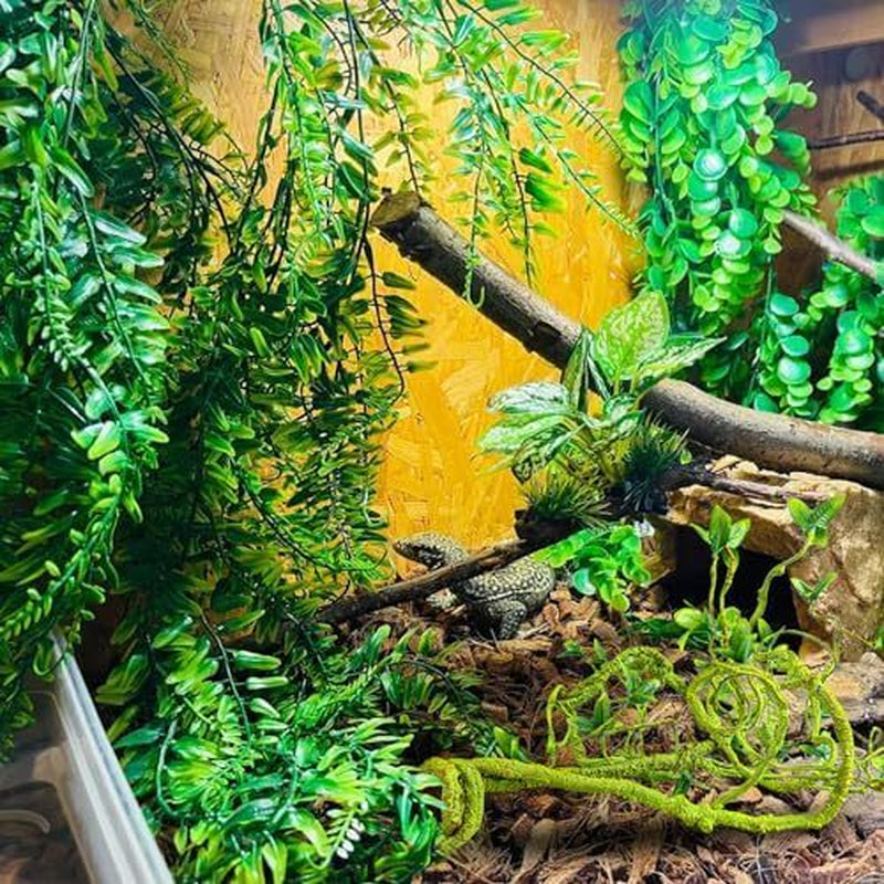Reptile Vines Plants for Terrarium, Flexible Vines Jungle Climbing Branch