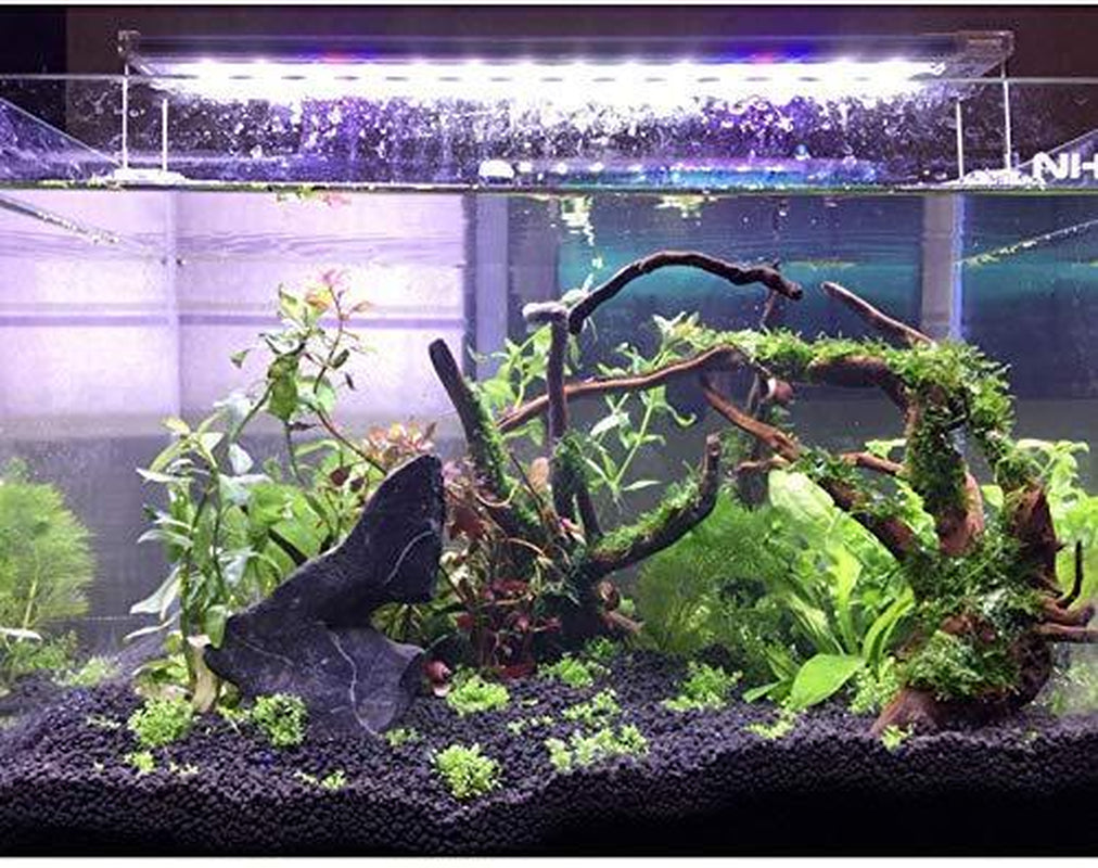 Large Driftwood for Aquarium Fish Tank Decorations Natural Assorted Branches ...
