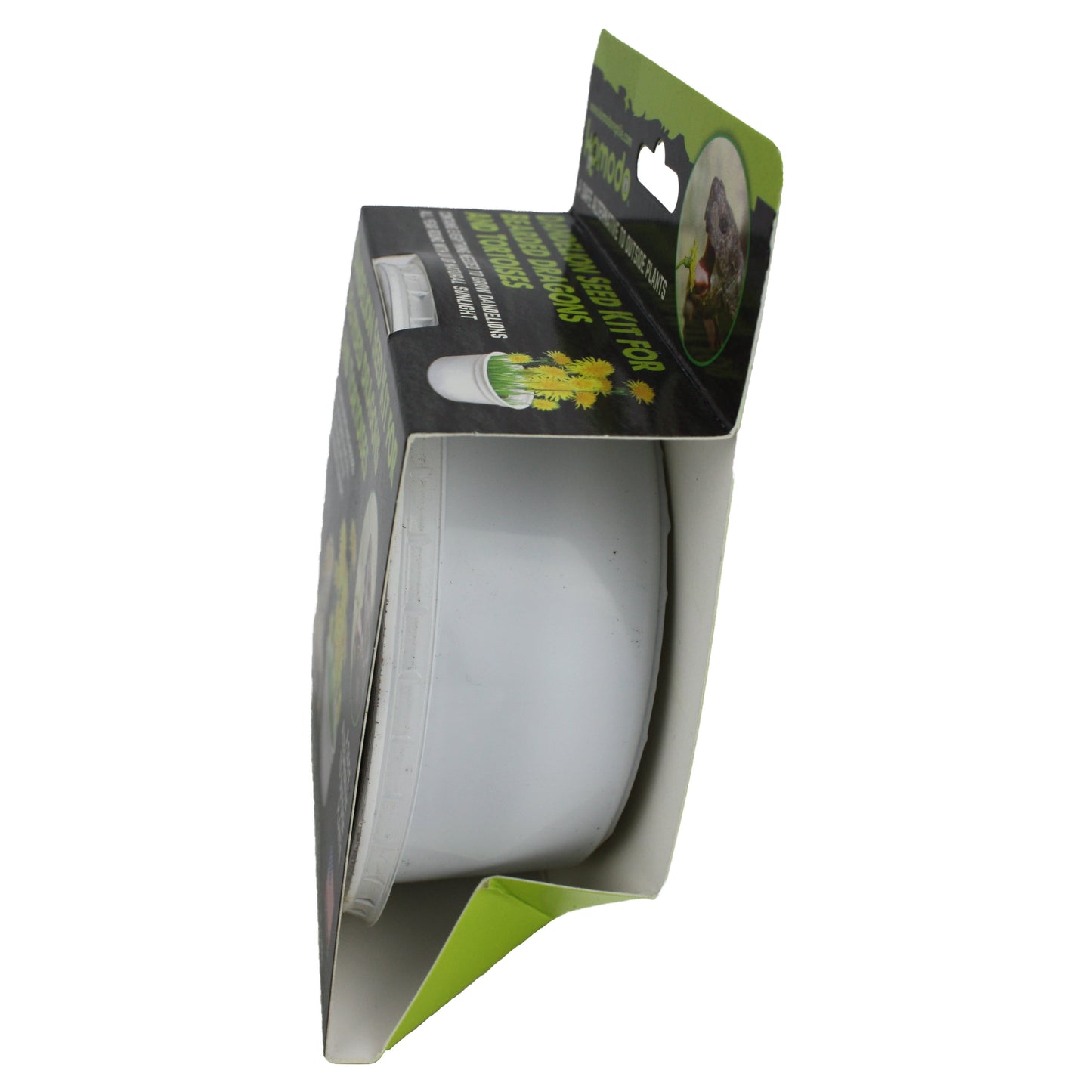 Grow Your Own Dandelion Reptile Food Kit , White Cup with Brown Soil and Dandelion Seeds