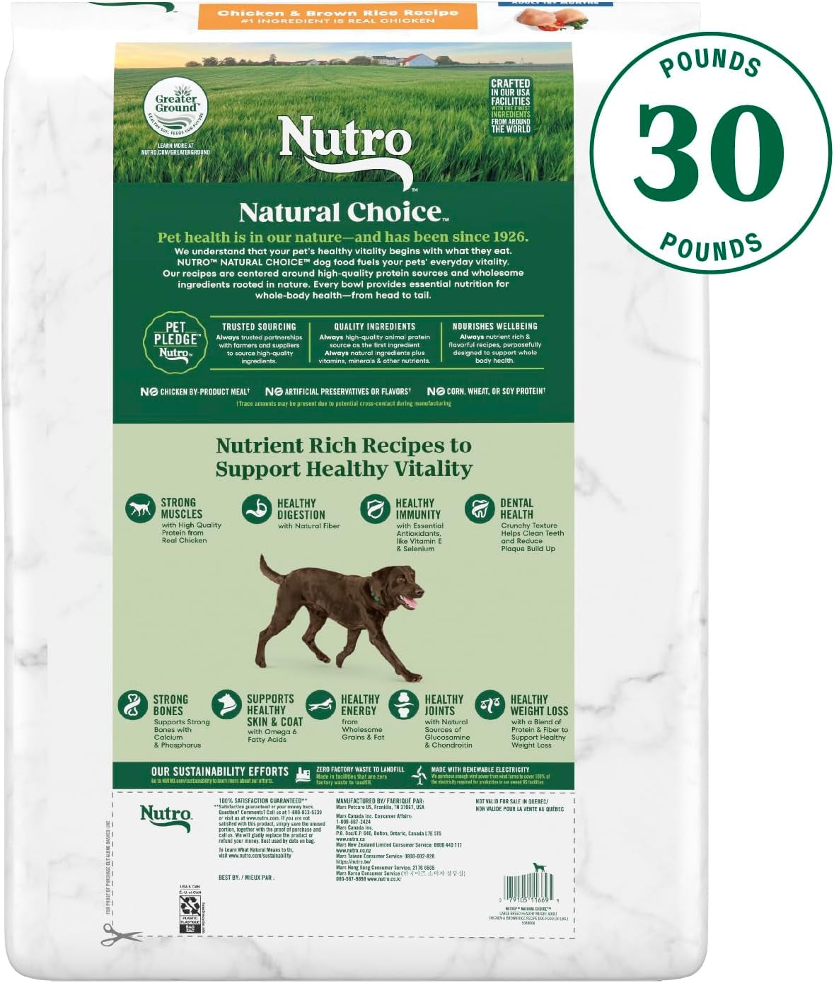 Natural Choice Adult Large Breed Healthy Weight Dry Dog Food, Chicken and Brown Rice Recipe, 30 Lbs.