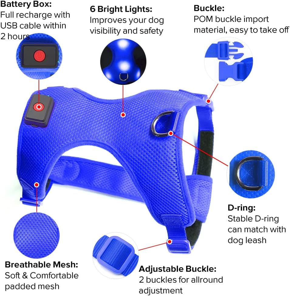 LED Dog Harness, Lighted up USB Rechargeable Pet Harness, Illuminated Reflective Glowing Dog Vest Adjustable Soft Padded No-Pull Suit for Small, Medium, Large Dogs (Blue, S)
