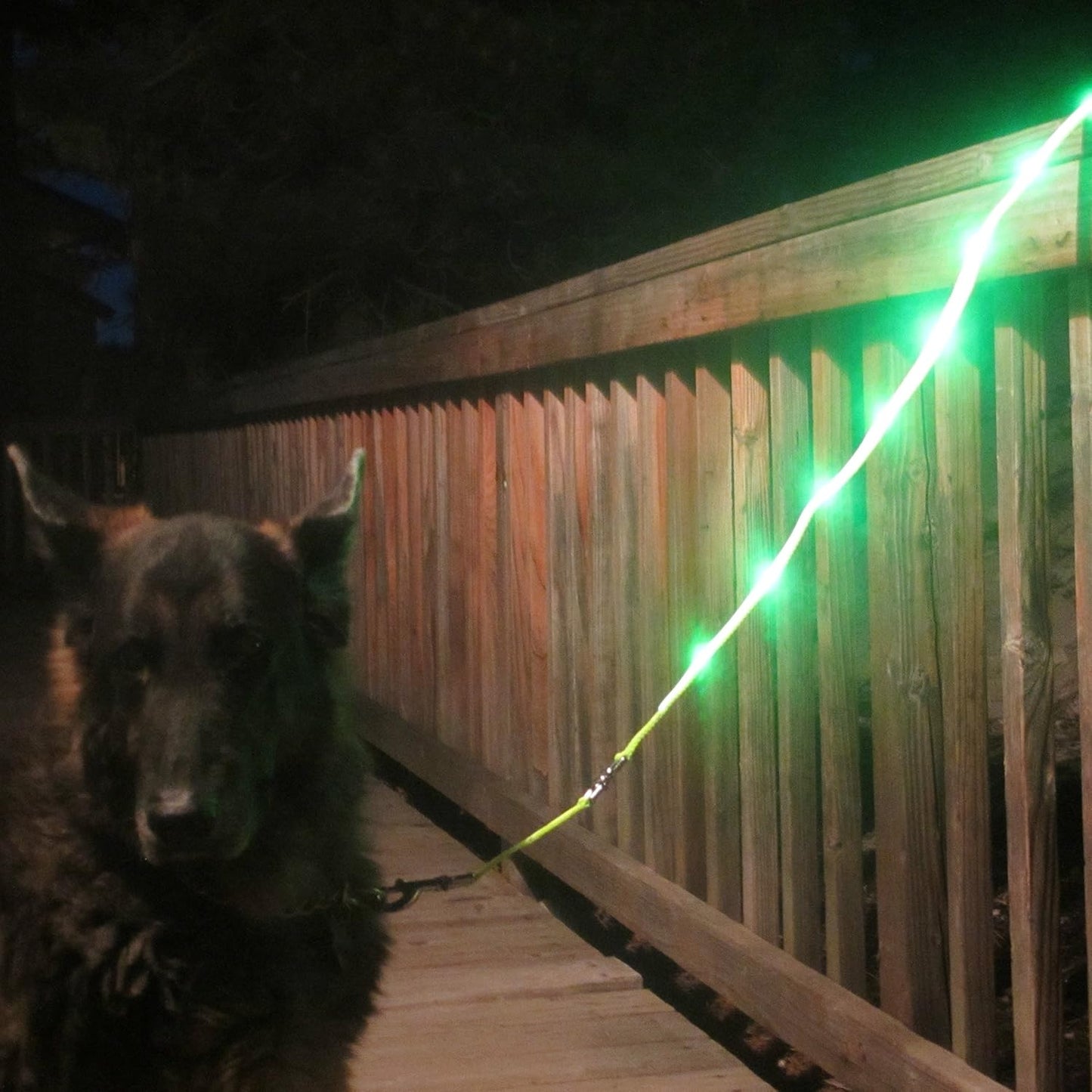 Light up Dog Leash LED Dog Leash - 1,000 Feet of Visibility - USB Rechargeable Waterproof Glow in the Dark Dog Leash - 4 Foot, Black