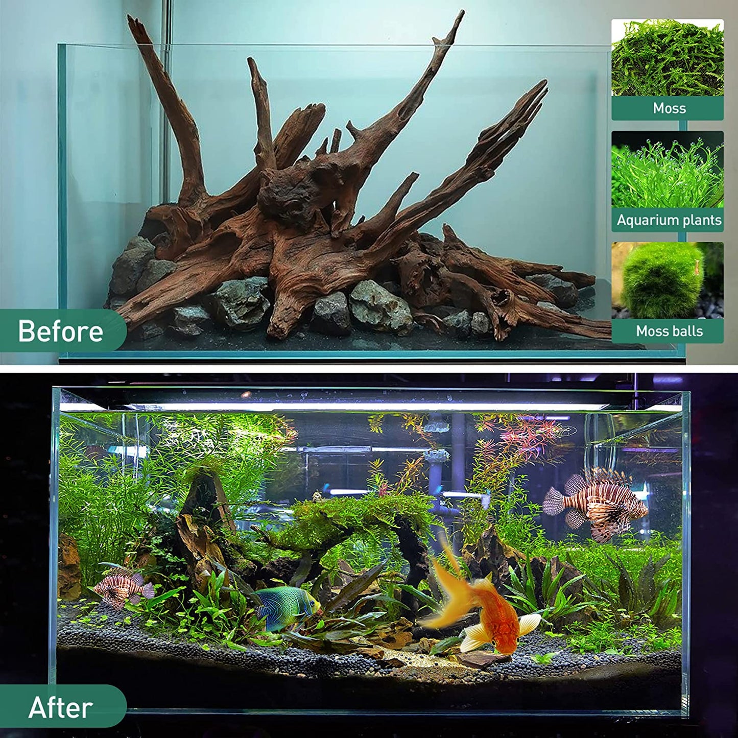 Natural Large Driftwood for Aquarium Decor,13-16 Inch Length Assorted Branches D