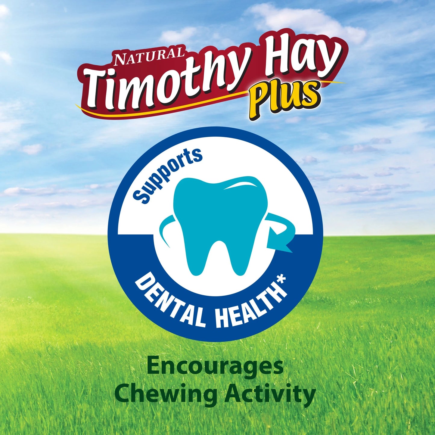 Timothy Hay plus Rose & Thyme 24 Oz