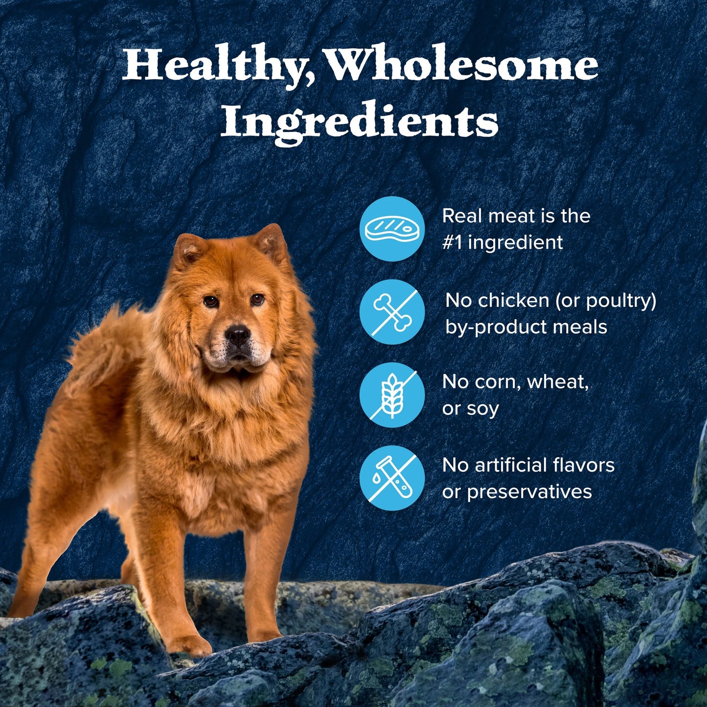 (4 Pack) Wilderness Wild Cuts Wet Dog Food Toppers, Chicken & Beef, 3-Oz. (12 Count)