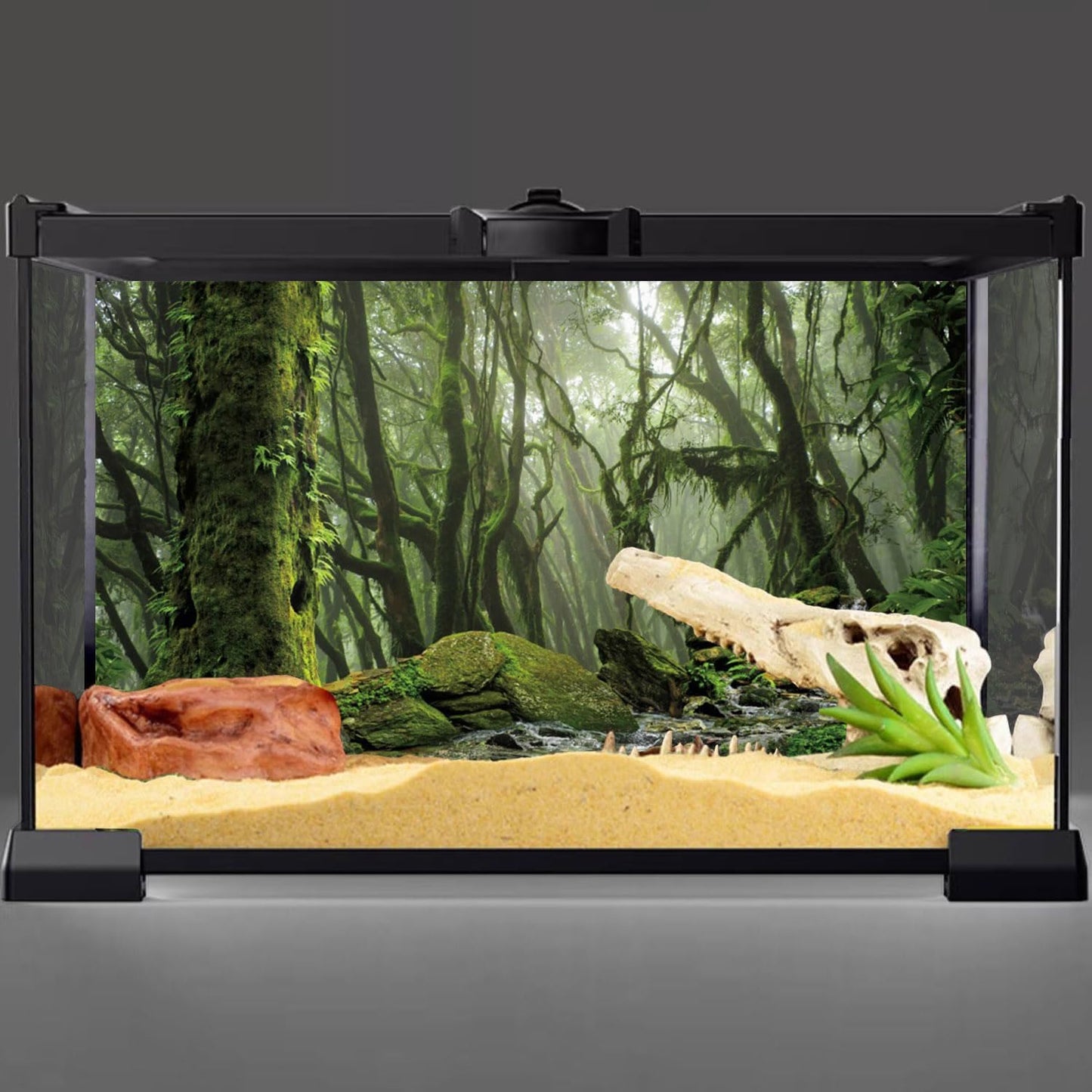Foggy Forest Terrarium Background Stream Green Huge Tree Reptile Habitat Background Tropical Rainforest Aquarium Background 48X18 Inches Durable Polyester Background