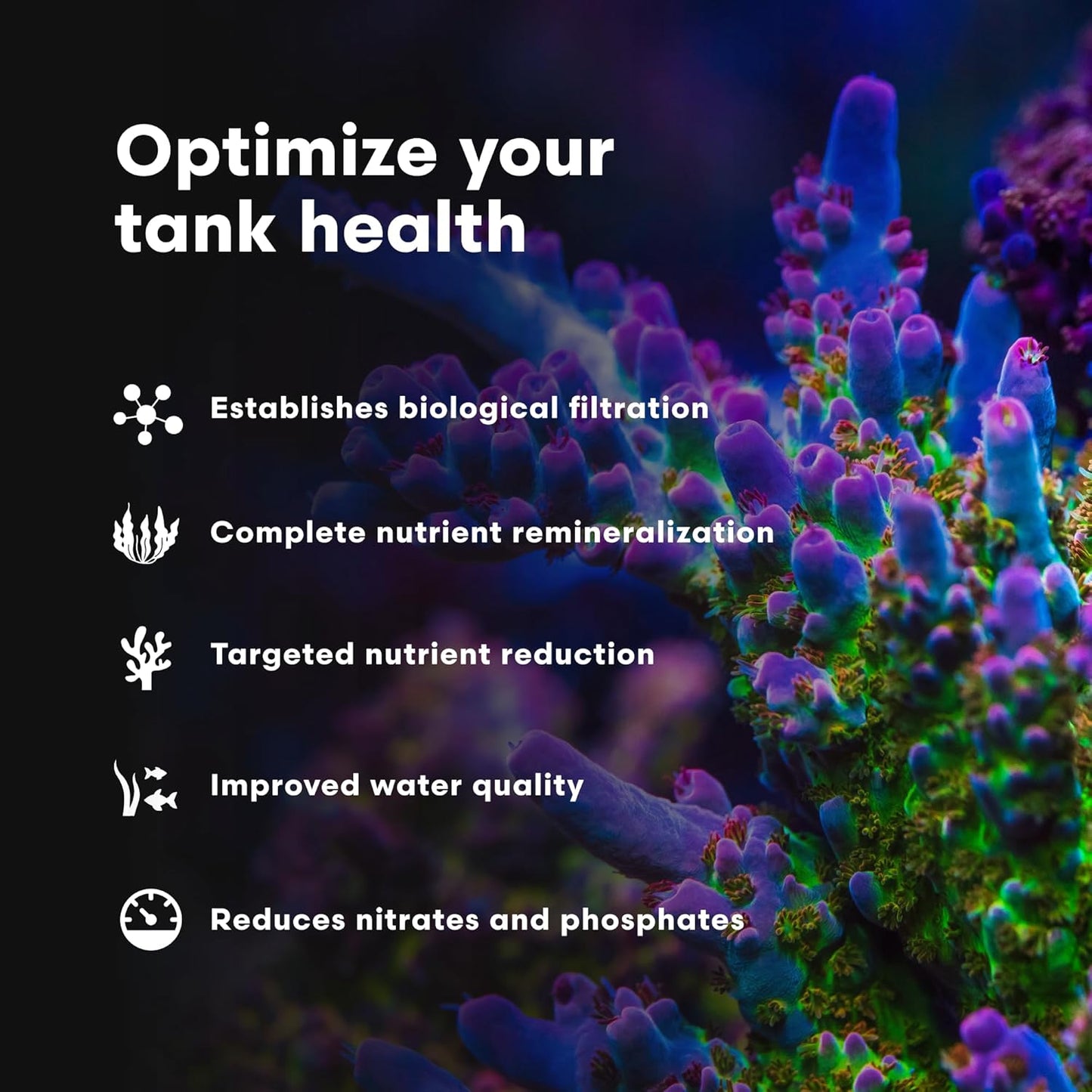 Microbacter7 Complete Bioculture for Fish Tank or Aquarium - Populates Biological Filter Media for Saltwater and Freshwater Fish - Aquarium Water Treatments, 16.9 Fl Oz