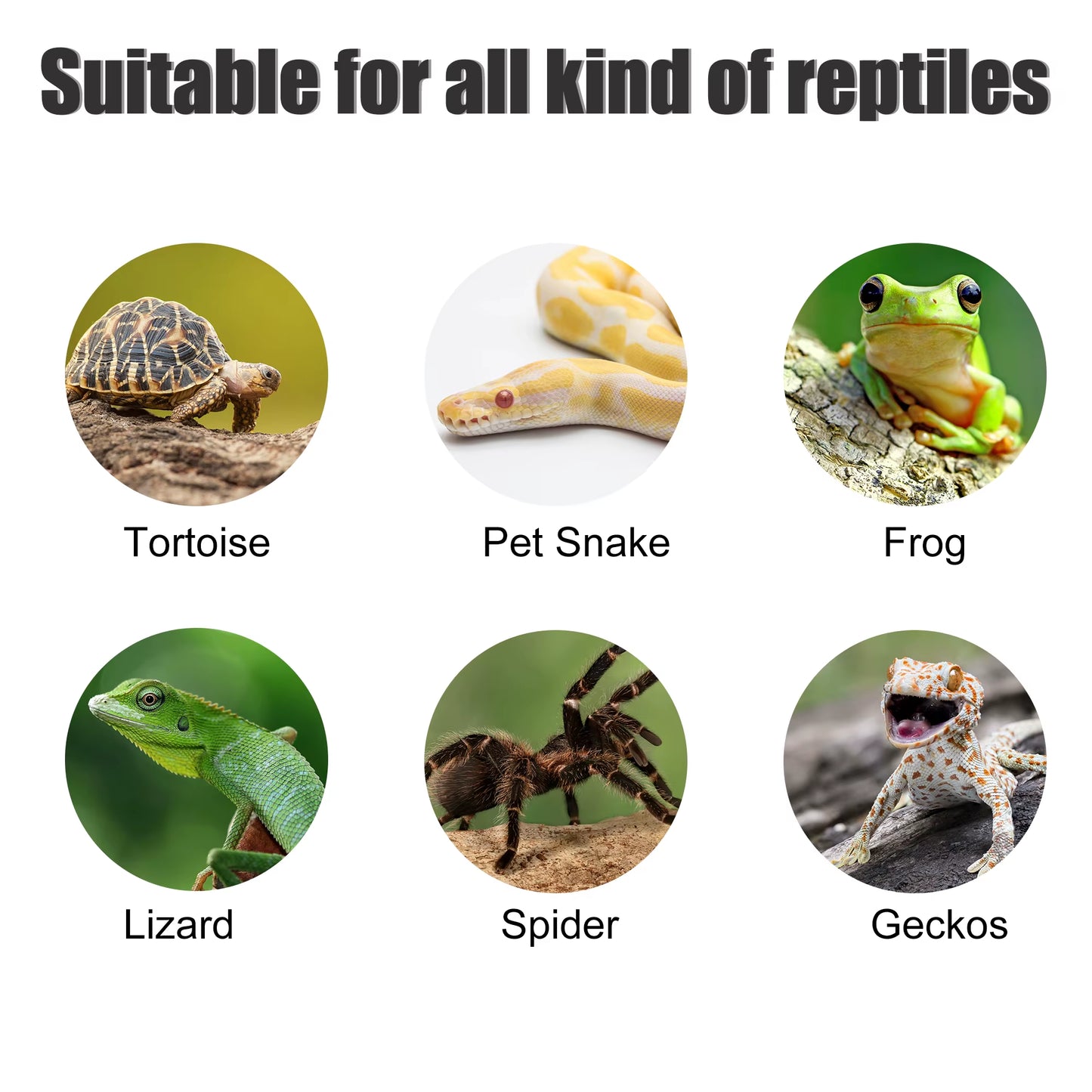 Reptile Float Island Turtle Basking Platform Simulated Lawn Aquarium Turtle Ladder Climbing Fish Tank Habitat Accessories