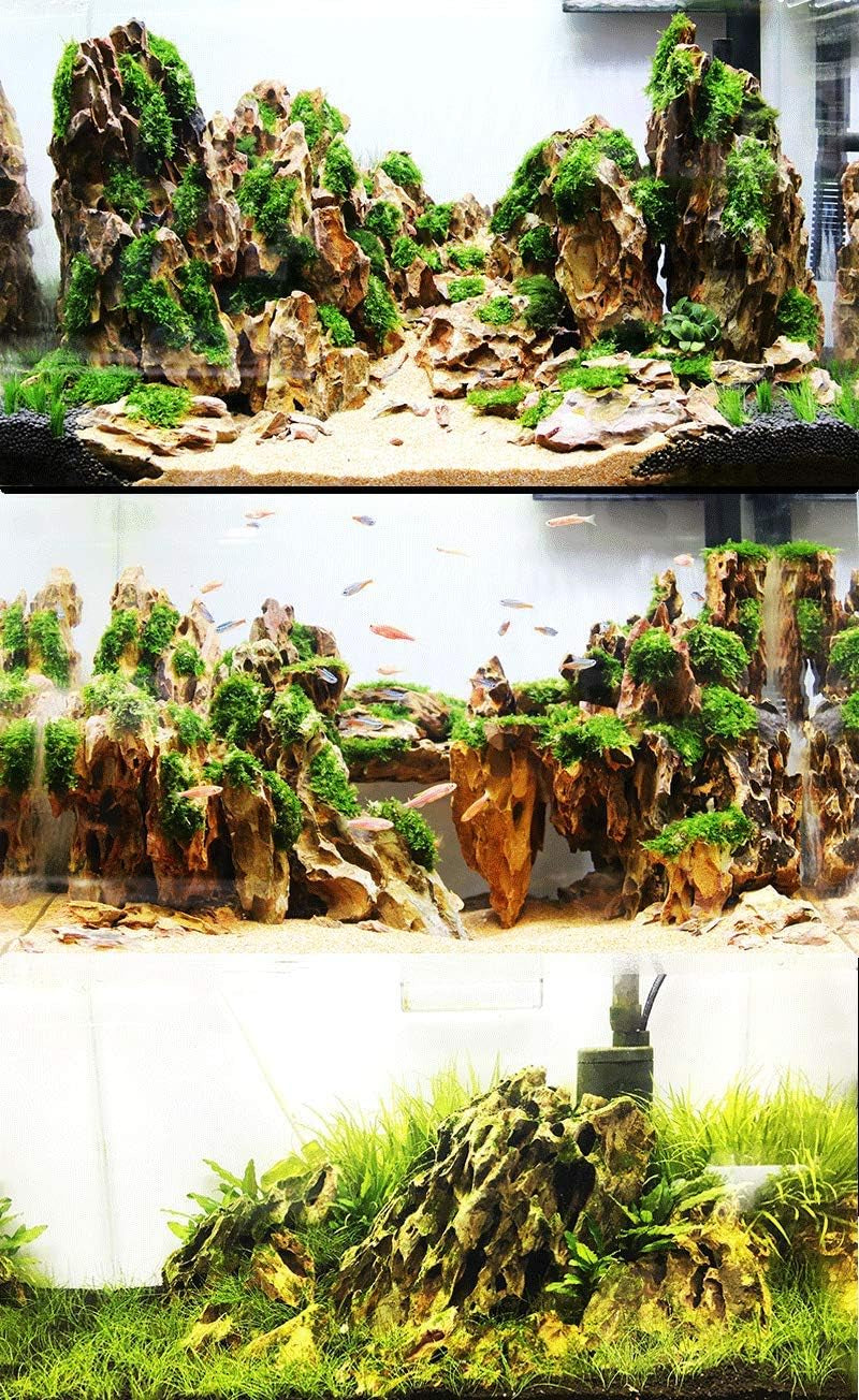 Dragon Stone Rock Aquariums Decoration Aquascaping Stone (7.2 LB)