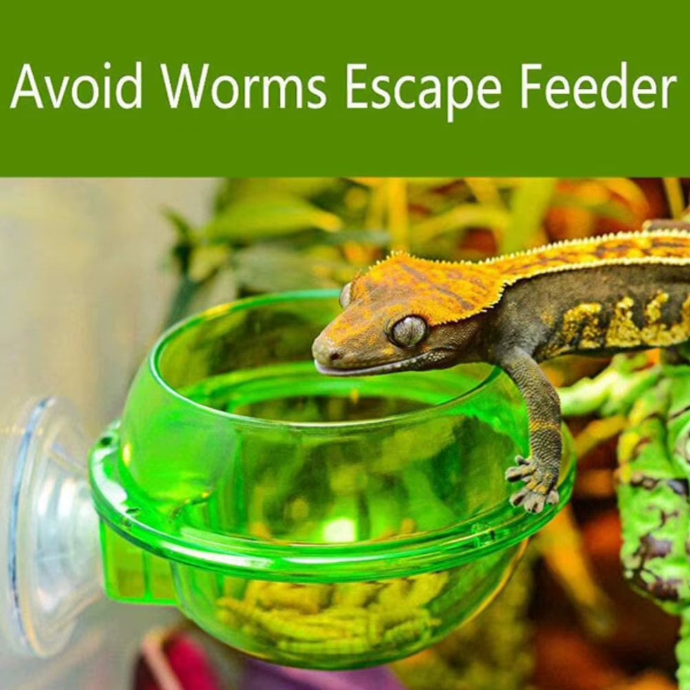 Suction Cup Reptile Feeder, Reptile Water Bowl Worm Dish Gecko Feeder Chameleon Bowl, Reptile Ledge Accessories Supplies