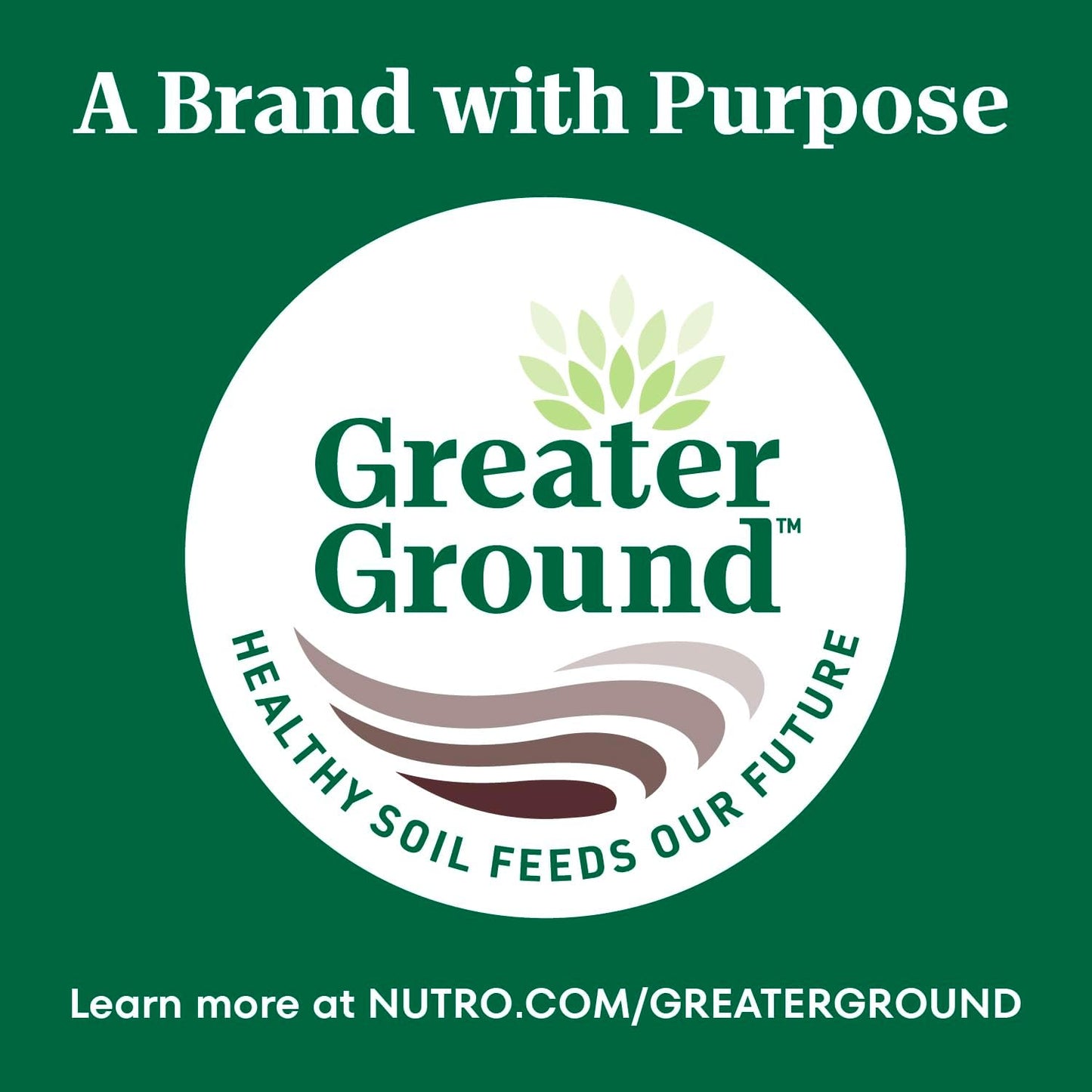 Natural Choice Adult Large Breed Healthy Weight Dry Dog Food, Chicken and Brown Rice Recipe, 30 Lbs.