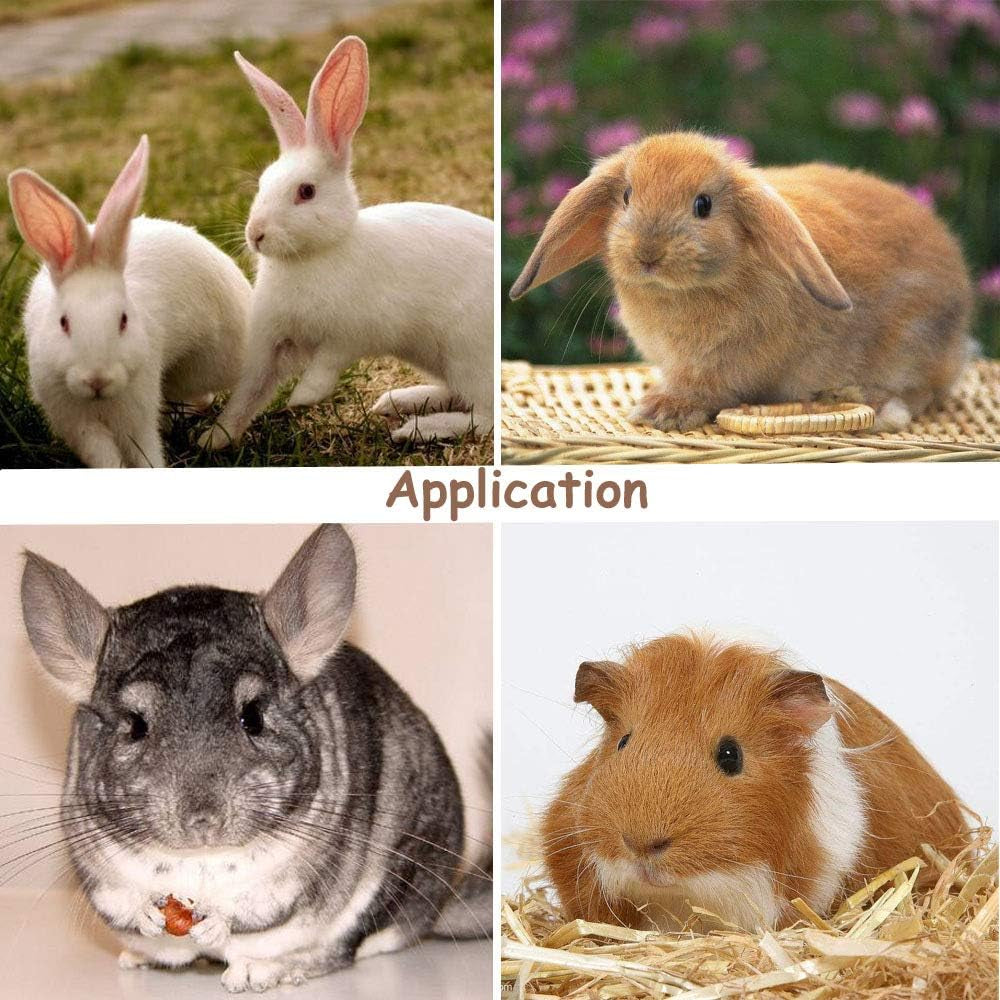 Bunny Chew Toys for Teeth, Organic Sweet Bamboo Sticks Rabbits Improves Dental Health, Pet Snacks Toys with Grass Cake for Rabbits, Cats, Hamsters, Gerbils Birds (Cakes+Bamboo, 2 Pcs)