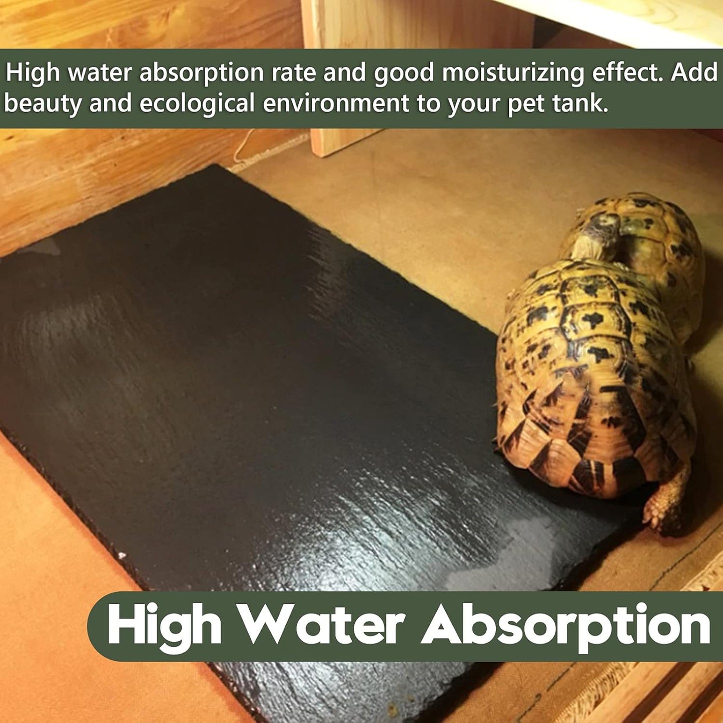 Reptile Basking Platform, Tortoise Feeding Food Dish, Reptile Food Dish Grinding Nail Landscape Habitat Decor for Lizard Bearded Dragon Turtle Crested Gecko Snake(11.8" X 7.9")