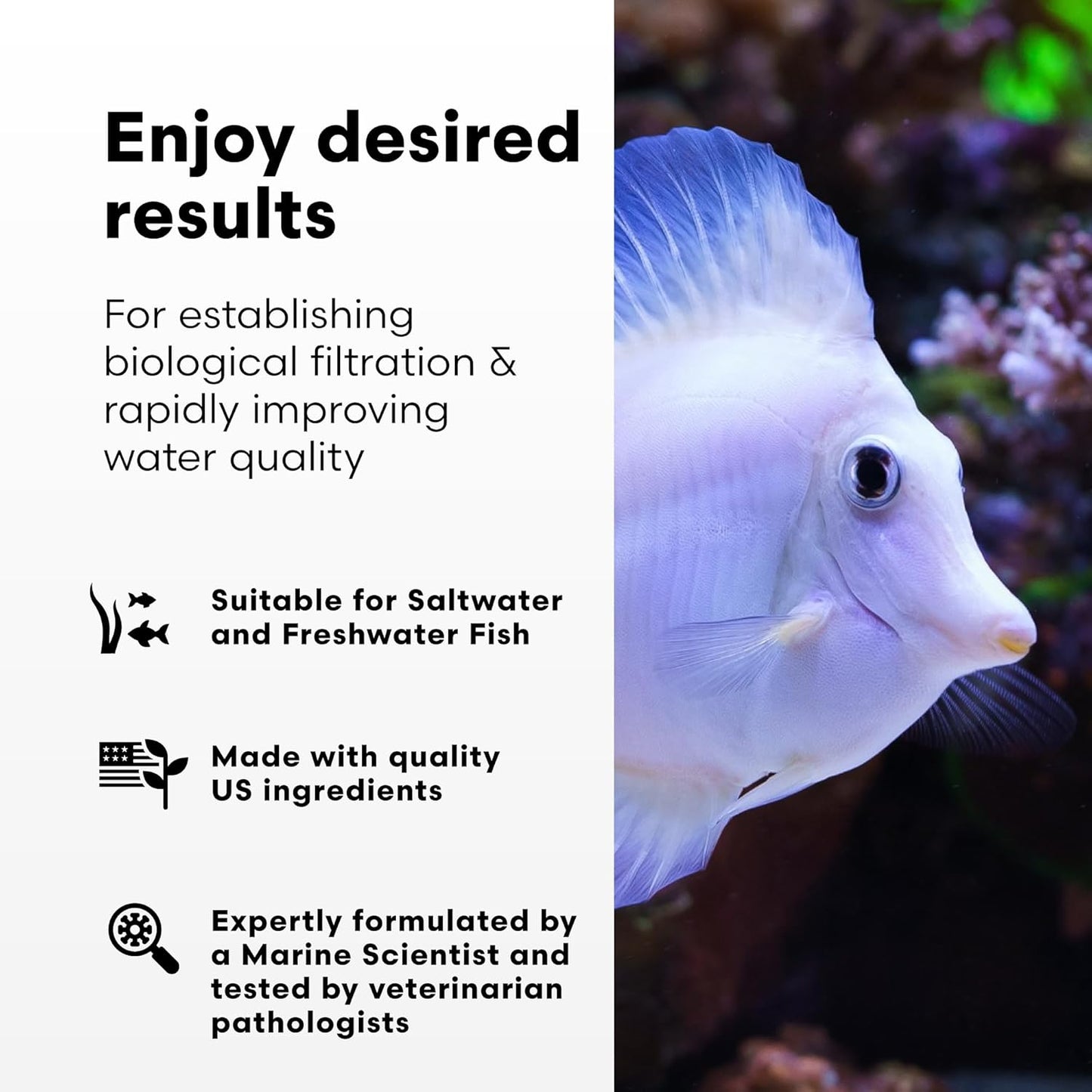 Microbacter7 Complete Bioculture for Fish Tank or Aquarium - Populates Biological Filter Media for Saltwater and Freshwater Fish - Aquarium Water Treatments, 16.9 Fl Oz