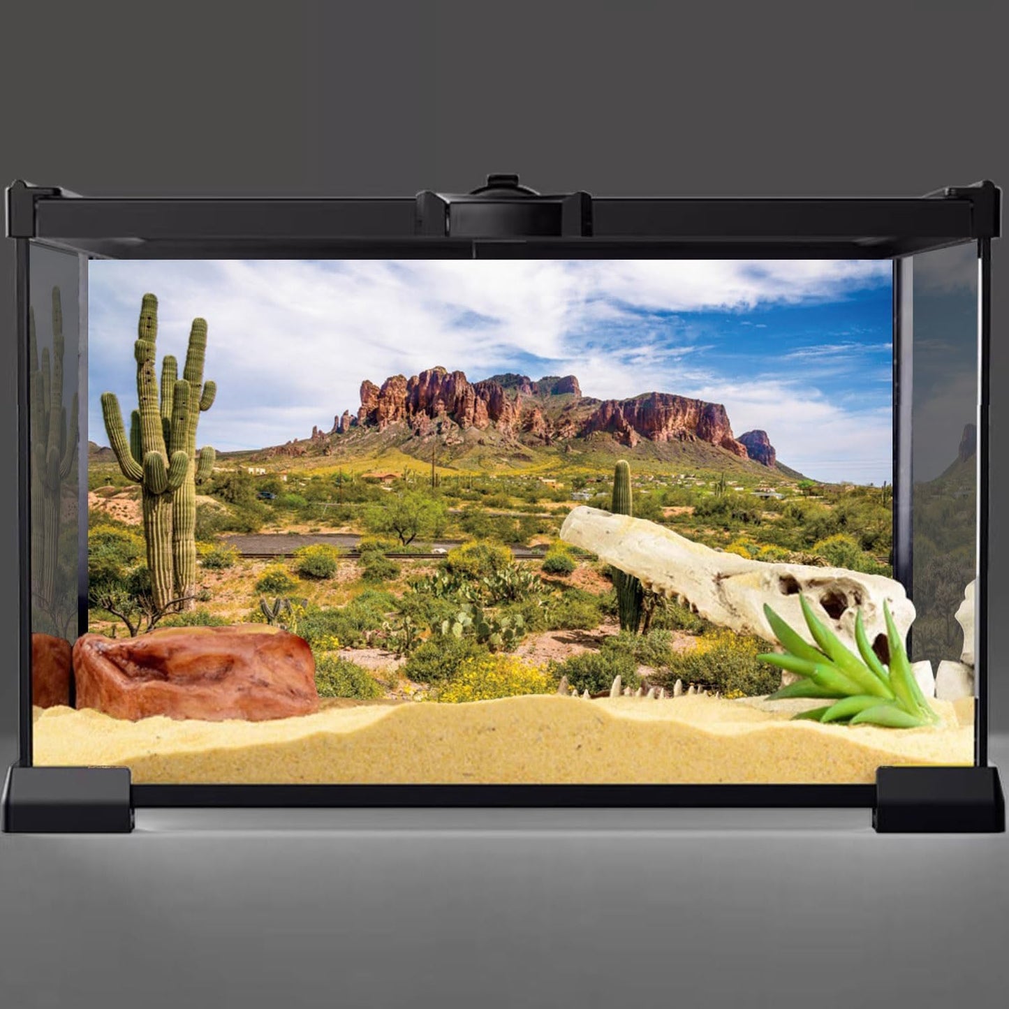 Reptile Habitat Blue Sky Oasis Cactus Gobi Terrarium Background 36X18 Inches Durable Polyester Background