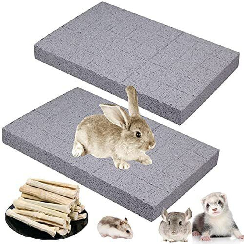 Rabbit Scratch Foot Pads 2Pack Bunny Grinding Claw Pad Small Animals Lava Gri...