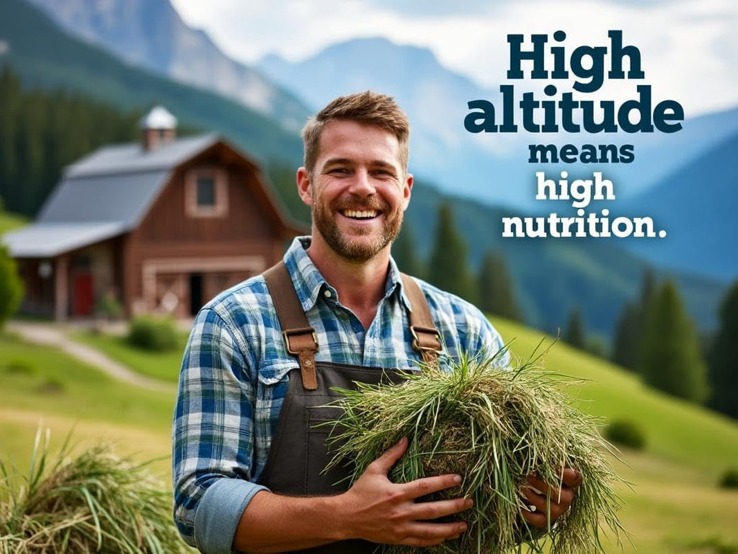 Blue Mountain 'High Altitude' Timothy Hay Pet Food for Rabbits, Chinchillas, Guinea Pigs, Hamsters and Other Small Pets. Naturally Grown with Fiber to Support Digestive Health (25 Lb)