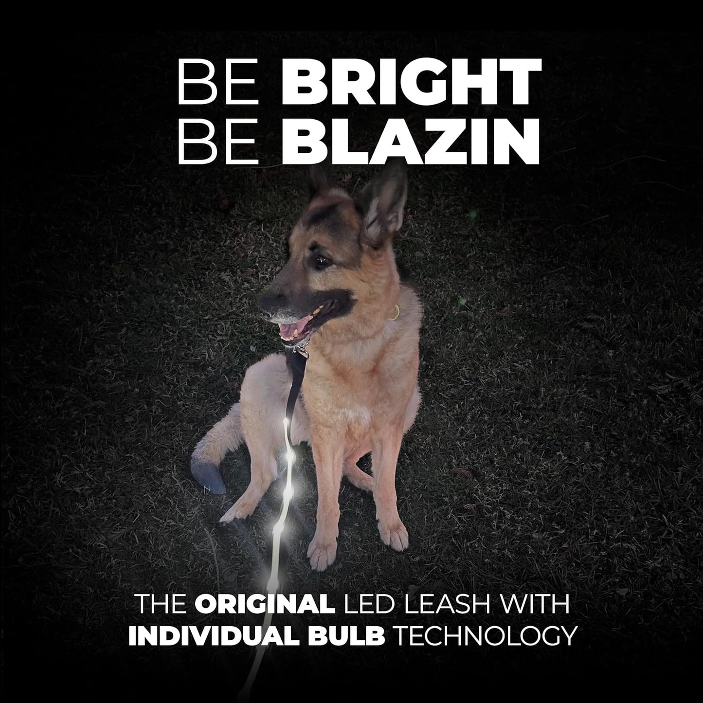 Light up Dog Leash LED Dog Leash - 1,000 Feet of Visibility - USB Rechargeable Waterproof Glow in the Dark Dog Leash - 4 Foot, Black