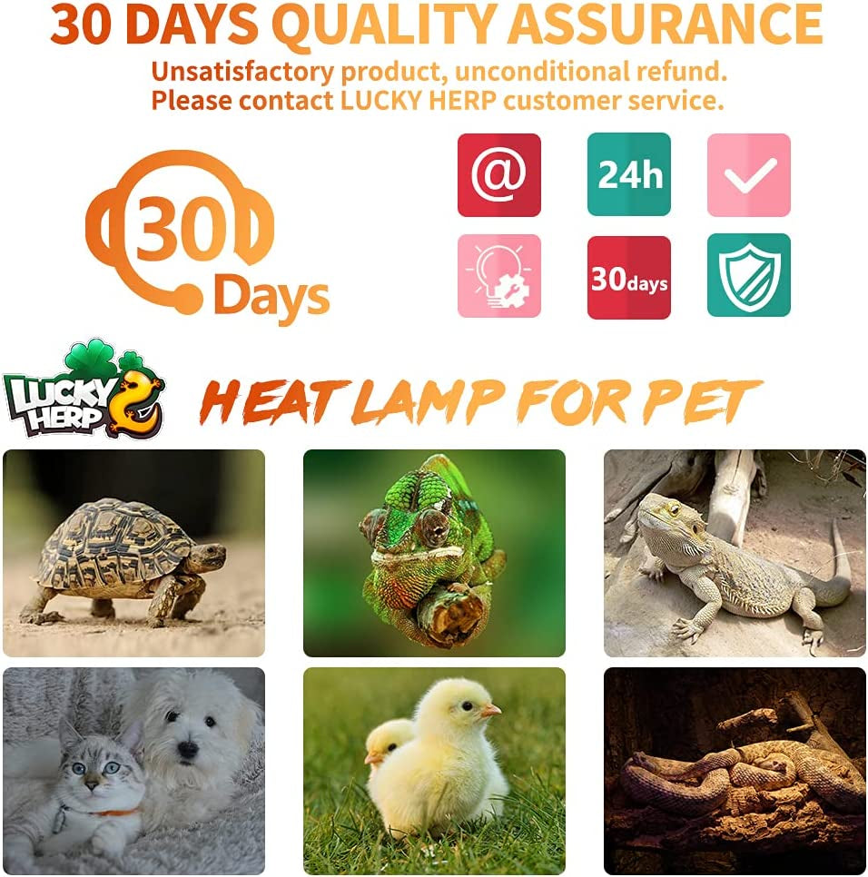 75W Ceramic Heat Emitter, Reptile Heat Bulbs, Ceramic Heat Lamp for Reptiles, Amphibian, Chicken, Dog, Cat (2-Pack)