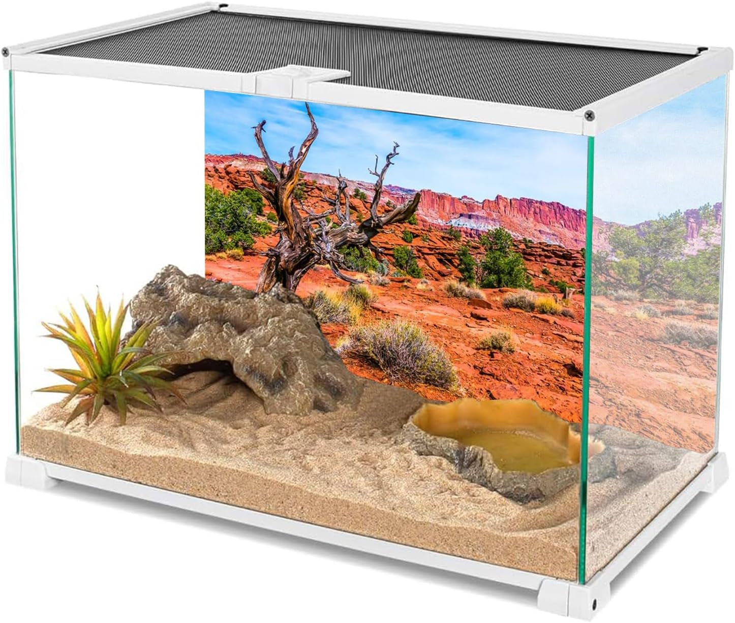 36X18 Inches Reptile Habitat Background Blue Sky Oasis Orange Desert Terrarium Background Durable Polyester Background