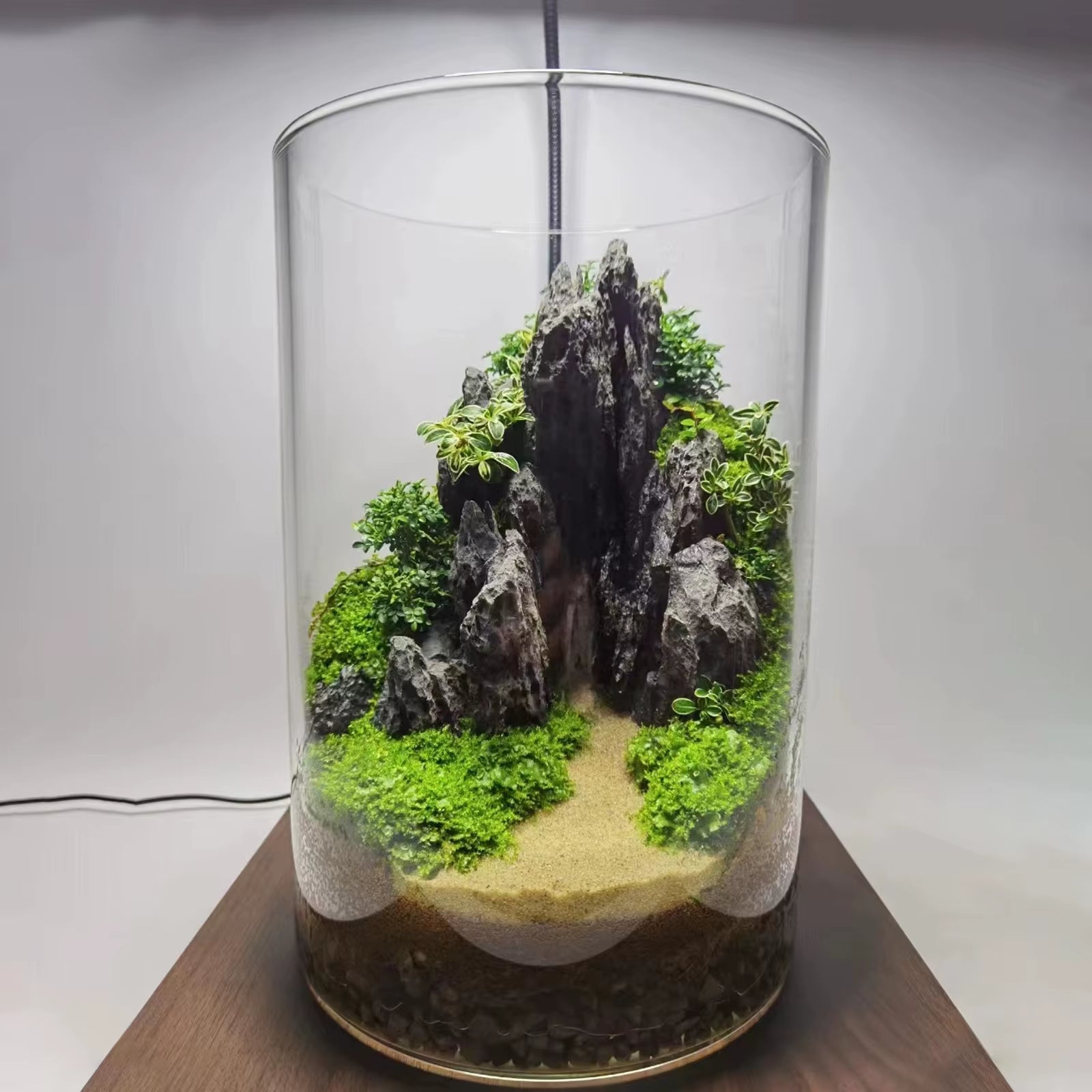 FZONE Aquarium Resin Seiryu Stone Model PH Nature Aquarium Rocks for Aquascaping, Micro-Landscapes