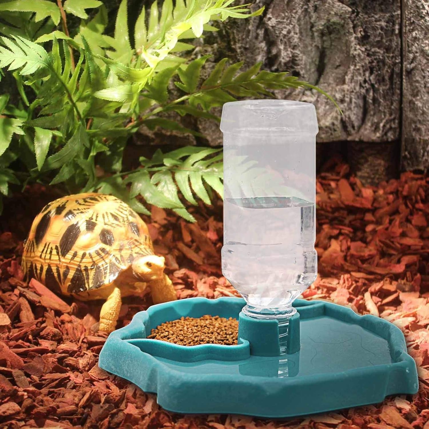 Automatic Reptile Feeder - Food and Water Dish Bowl with Bottle Tortoise Turtle Water Dispenser for Bearded Dragon Gecko Lizard (Blue)
