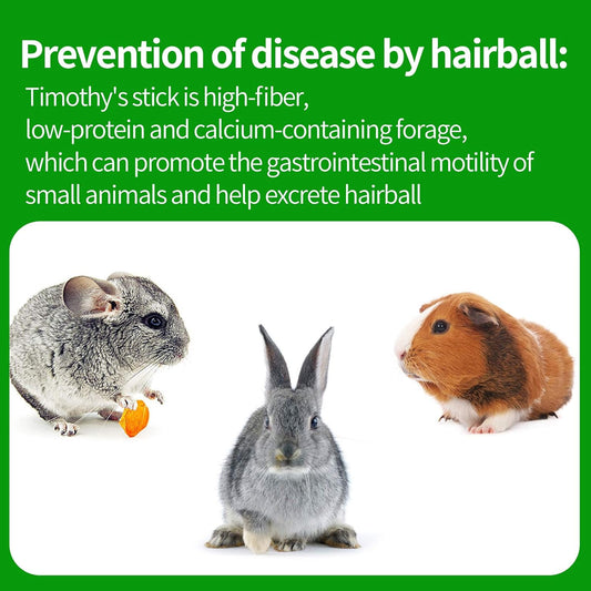 Timothy Hay Sticks for Rabbits Guinea Pig Hamsters Chinchilla Bunny Chew Toys for Teeth Treats Accessories, 20 Count (Pack of 1)