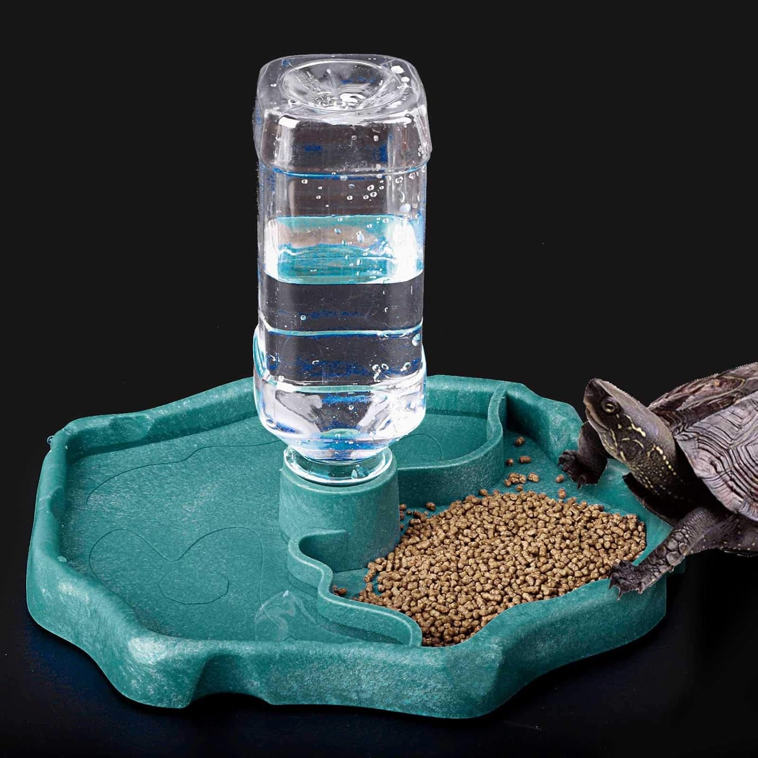 Automatic Reptile Feeder - Food and Water Dish Bowl with Bottle Tortoise Turtle Water Dispenser for Bearded Dragon Gecko Lizard (Blue)