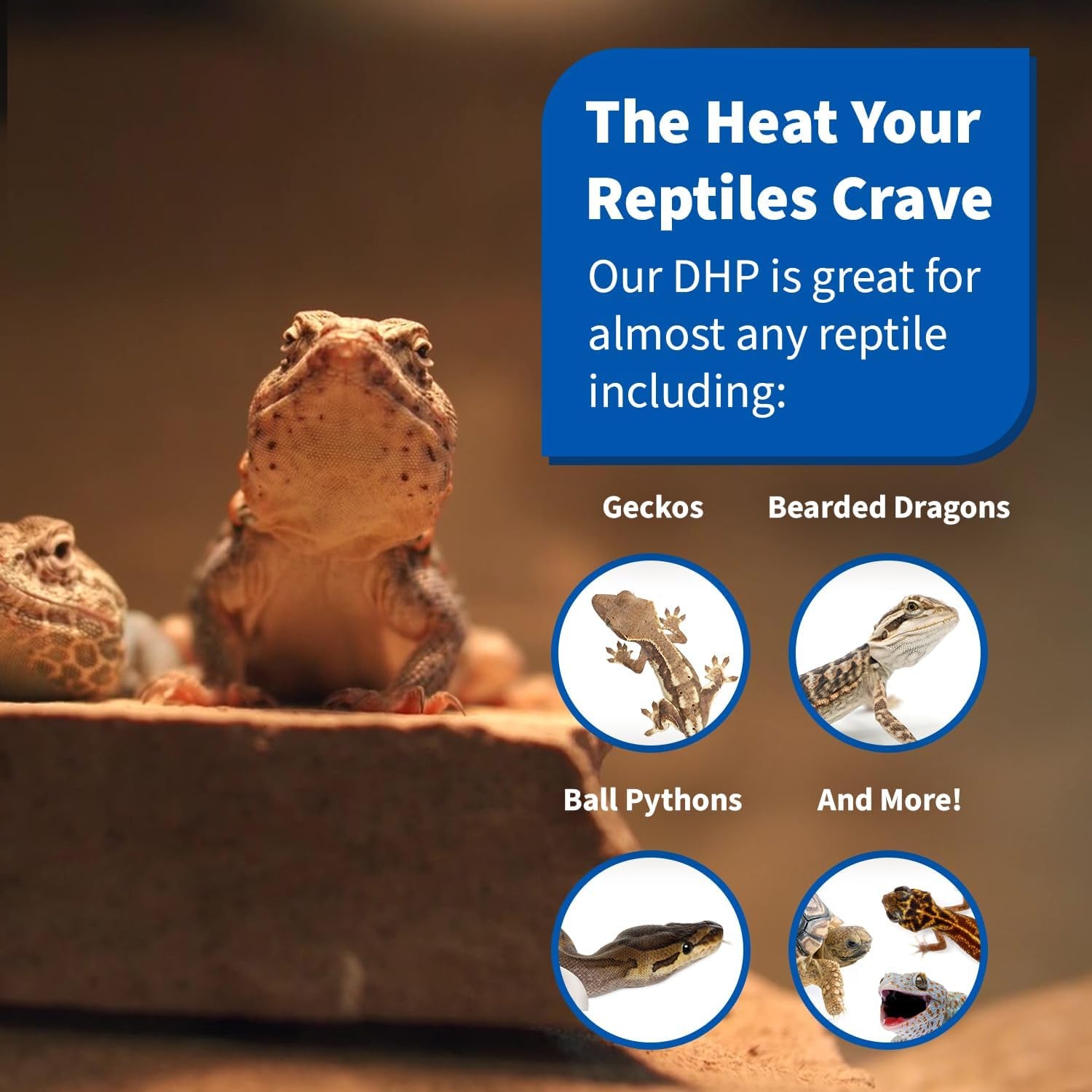 100W Deep Heat Projector for Reptiles with Carbon Fiber Filament, Core Warming Infrared a and B Bulb for Basking Lizards, Designed for Ceramic Sockets (100 Watt)