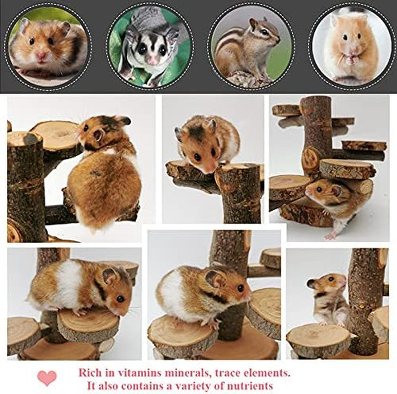 Hamster Wooden Cage Toy Sets, Small Pets Wooden Climbing Ladders, Hamsters Chewing Toys for Sugar Glider, Mouse, Chinchilla, Rat, Gerbil and Dwarf Hamster, Apple-Wood Play Ground for Small Animal