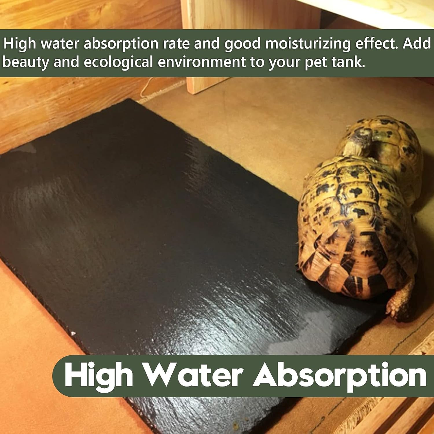 Reptile Basking Platform, Tortoise Feeding Food Dish, Reptile Food Dish Grinding Nail Landscape Habitat Decor for Lizard Bearded Dragon Turtle Crested Gecko Snake(11.8" X 7.9")