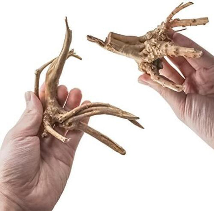 Vmiapxo 8 Pack Natural Driftwood for Aquarium, Aquarium Decor Spider Wood